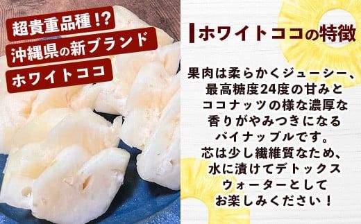 【マツコの知らない世界で絶賛！】《2026年4月～7月順次発送》【先行予約】パイナップル好きにおすすめ！満足のパイナップル2品種定期便【 沖縄 石垣 ピーチ ホワイトココ 完熟 セット フルーツ デザート 食べ比べ 定期便 TV テレビ 紹介 マツコ 】 TF-35_R8