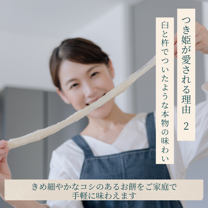 みのる産業 3合餅つき機 つき姫 リッチホワイト 餅つき機 ホワイト