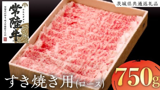 y錧vsz헤 [X Ăp ( v 750g ) ( 錧ʕԗi ) Y  [X Ă uh Mtg 蕨 Ε  j јa ōuh [AK020us]