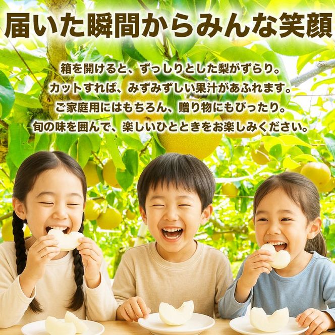新高梨 約1.8kg（5～8玉）【梨 なし 果物 フルーツ デザート 食後 熊本県産】※配送不可：離島