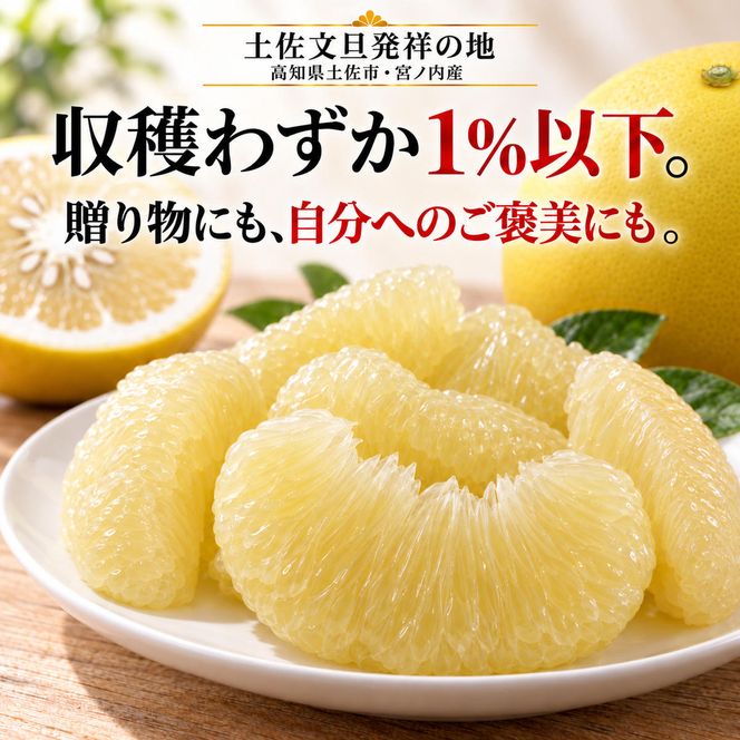 土佐文旦 贈答用化粧箱 3kg 大玉 日本ギフト大賞受賞 文旦発祥の地 園主こだわり ギフト 贈り物 寒中見舞い お祝い 自分へのご褒美 高知県土佐市産 高知県産 国産 3キロ ぶんたん みかん 柑橘類 高級フルーツ 果物 産地直送 お取り寄せ 季節限定 先行予約 やの一果彩[BQAC004]