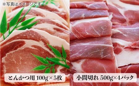 【全6回定期便】計4.6kg！糸島豚 食べ尽くしセット ( とんかつ / 肩ロース / しゃぶしゃぶ / 豚バラ / スペアリブ / 小間切れ ) 糸島市 / トラヤミートセンター [AJD013]