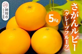 【2025年3月中旬より発送開始】さがんルビー 5kg(グレープフルーツ)【柑橘 フルーツ デザート ジューシー リフレッシュ】(H116149)