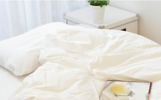 【23-2】夏に使う羽毛布団 プレミアムゴールドラベル 薄掛け クイーン 210×210cmポーランド産グース93％ 日本羽毛製品共同組合品質推奨ラベル付き 肌掛け 羽毛 掛け布団 立体キルト　251-000286-20