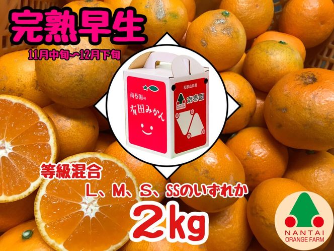 ya̎RLc쒬z n Lc ݂ L ` SS TCY 2kg ׉ a̎R Lc݂   BS596