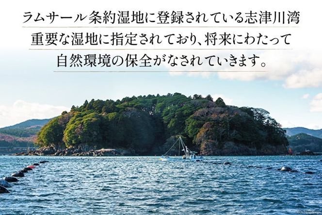 【期間限定発送】牡蠣 南三陸志津川産 殻付き牡蠣 3.5kg 20個前後 [南三陸牡蠣倶楽部 宮城県 南三陸町 30ao0001] カキ かき 生牡蠣 魚貝類 生牡蠣 貝 海鮮 魚介類 オイスター カキフライ カキ鍋 アヒージョ 魚介 期間限定 冷蔵 新鮮 濃厚