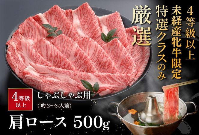 【４等級以上の未経産牝牛限定】近江牛肩ロースしゃぶしゃぶ 【500g】【AF06U】