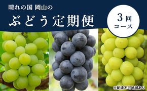 ぶどう 定期便 2026年 先行予約 晴れの国 岡山 の ぶどう定期便 3回コース 葡萄 ブドウ 岡山県産 国産 セット ギフト 果物 アレキサンドリア ニューピオーネ シャインマスカット 晴王 上品な香り 