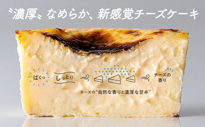 箱根発！なめらか濃厚バスクチーズケーキ 箱根チーズテラス・カプチ 【プレーン6個セット】 142069_JF002