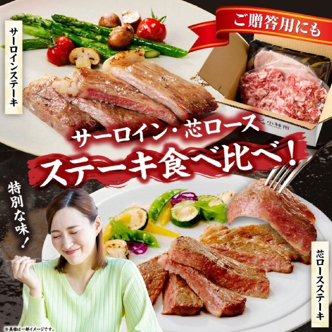 【A5等級宮崎牛】サーロインステーキ・芯ロースステーキセット800g（小林市産 牛肉 和牛 特選 贅沢 厳選和牛 ブランド牛 ギフト 贈答）
