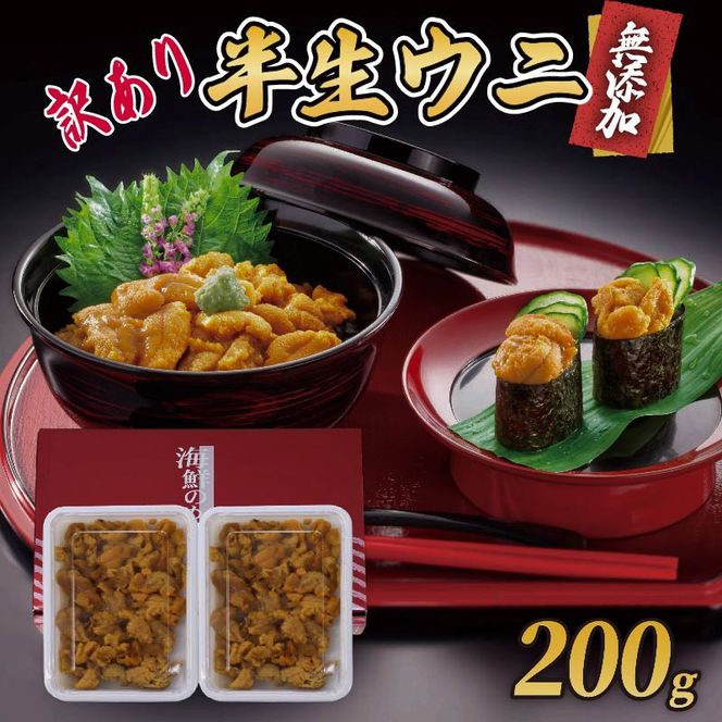 訳あり 半生うに 200g 100g×2 冷凍 うに キタムラサキウニ ミョウバン不使用 被災 震災 火災 TV テレビ 大船渡市 岩手県
