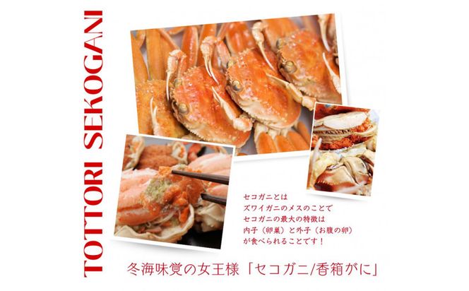 【訳あり】セコガニ 特大サイズ 5枚 (茹で) 312011_FT018