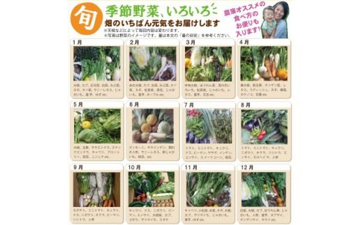 旬の季節野菜ボリュームセット(12品目)&平飼い玉子20個