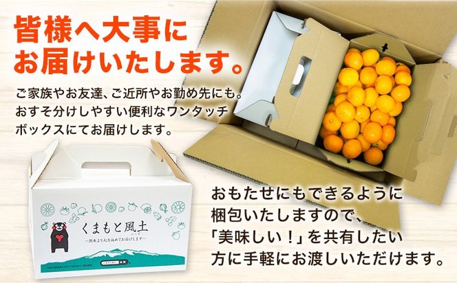  訳あり みかん くまもと小玉みかん 約 5kg (2.5kg×2箱)  蜜柑 小玉旬 不揃い 傷 ご家庭用 SDGs 小玉 たっぷり 熊本県 産 S-3Sサイズ フルーツ 柑橘 長洲町 温州みかん《11月中旬-12月上旬頃出荷》---fn_nkomikan_g11_24_9500_5kg---