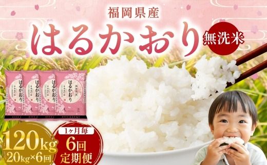 【 1ヶ月毎6回定期便 】 【 無洗米 】 はるかおり 20kg （ 5kg × 4袋 ） 計120kg お米 米 こめ コメ 白米 白飯 飯 ご飯 おにぎり 和食 国産 福岡県産 定期 定期配送