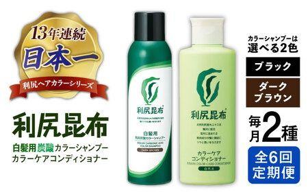 全6回定期便】【色が選べる！2本セット】［白髪用］利尻炭酸カラー 