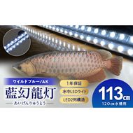 一瞬で綺麗に魅せる!金龍の青を最大限に強調する水中LEDライト|AK120-EX［172C18］金龍 専用 ワイルドブルー 青 水中 アロワナ 高輝度 水槽ライト テンニングライト LED ライト 照明 水中照明 光 綺麗 透明感 強化ガラス 吸盤 1年保証 簡単 設置 でんらい インテリア 雑貨 愛知県 小牧市 送料無料