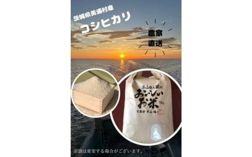 【令和6年産】コシヒカリ 精米 10kg【茨城県共通返礼品　美浦村産】◇ ※2024年9月中旬頃より順次発送予定