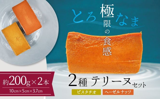 【テリーヌ専門店L】（約２００g）ピスタチオ・ヘーゼルナッツの2種のテリーヌセット【グルテンフリー・保存料不使用】ピスタチオ ナッツ ホワイトチョコ スイーツ デザート フレンチ H173-092