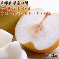 【数量限定】和歌山県産の梨 約2kg（品種おまかせ）