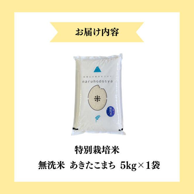 【令和7年産】【無洗米】特別栽培米あきたこまち5kg×1 米 コメ こめ 秋田県産 国産米