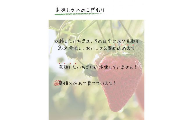 【訳アリ 冷凍いちご】静岡県産の完熟紅ほっぺを使用した冷凍いちご1kg【静岡県産】 222232_CF002