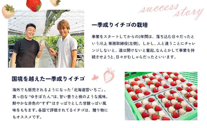 【2027年１月以降発送！】【北海道産】ゆきいちご（ゆきぼたん/すず）白×ＭＩＸ 2Pセット 各250g×2 計500g【5900202】