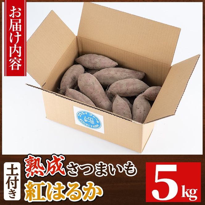 a845 《種類・内容量が選べる》鹿児島県産さつまいも土付き5～10kg(シルクスイート・紅はるか)【コウエイ環境】姶良市 鹿児島県産 さつまいも サツマイモ 熟成芋 さつま芋 シルクスイート 紅はるか 5kg 10kg 生芋