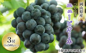 ぶどう 2026年 先行予約 つる付き ニュー ピオーネ 3房入り（1房 580g以上 ハウス栽培） ブドウ 葡萄  岡山県産 国産 フルーツ 果物 ギフト 岡山の葡萄 