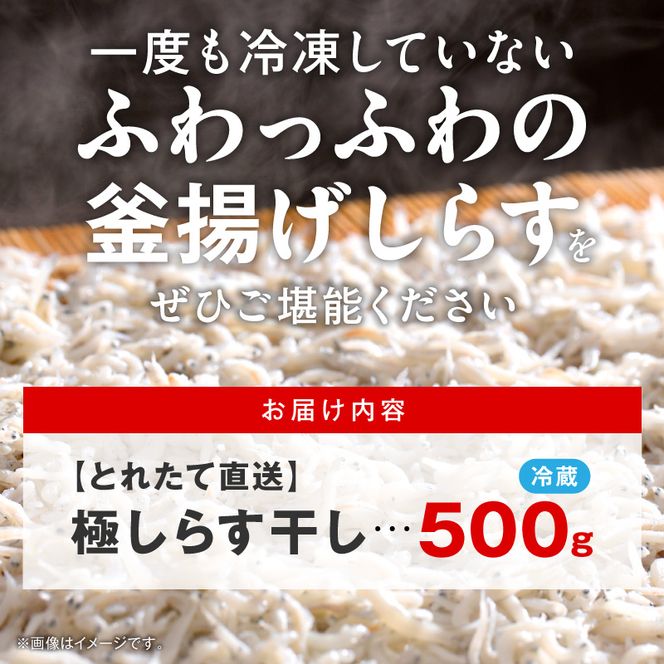 【とれたて直送】極しらす干し 500g N065-YA0509