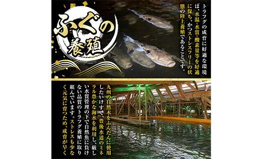 生簀直送 とらふぐ 鍋 セット (4-5人前) 魚 ふぐ 河豚 ふぐちり ポン酢 冷凍 佐伯 養殖 大分県 佐伯市【EA11】【トーワ】