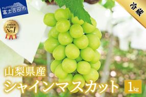 【2025年先行予約】数量限定！山梨県産シャインマスカット約1㎏（2房）