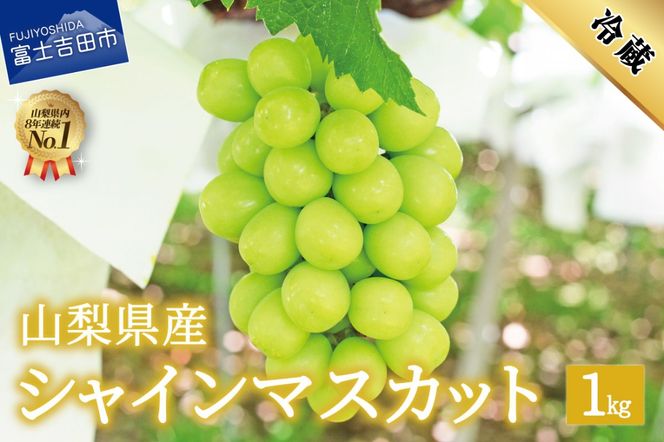 【2025年先行予約】数量限定！山梨県産シャインマスカット約1㎏（2房） フルーツ 富士吉田市