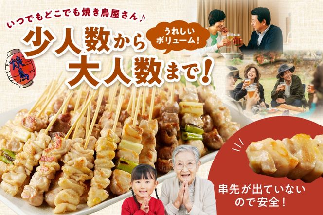 国産焼き鳥セット 5種盛り合わせ30本　焼鳥 やきとり ヤキトリ yakitori 鳥 鶏 鶏肉 もも モモ ねぎま ネギま なまかわ なま皮 テール 串 国産 冷凍 惣菜 おかず おつまみ セット 小分け 鳥肉 大量 大盛り キャンプ きゃんぷ ソロキャンプ アウトドア あうとどあ チキン KN00008