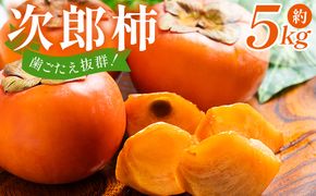 【2026年10月下旬より順次配送】次郎柿 5kg くだもの 果物 フルーツ 柿 かき カキ 5きろ 5キロ 美味しい 栄養 高知県 香南市 nm-0004