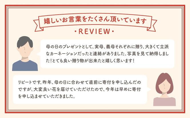 ＼先行受付 令和8年5月10日の母の日お届け：5月6日(水) 決済完了分まで！／  カーネーション 2種「 4号鉢 バスケット 入り 」 母の日直前にお届け 2026年 お母さんへの心を込めた贈り物 長持ち 鉢植え フラワーセット プレゼント 送料無料 故郷納税 福島県 田村市 フローラハシモト N052-005