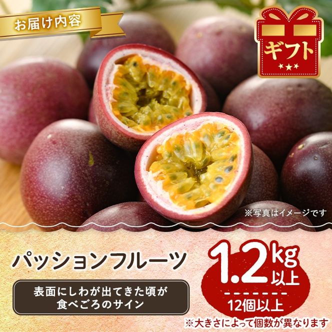 【0105302a】ゆきちゃん農園のパッションフルーツ(1.2kg以上) フルーツ 果物 果実 1キロ 期間限定【ゆきちゃん農園】