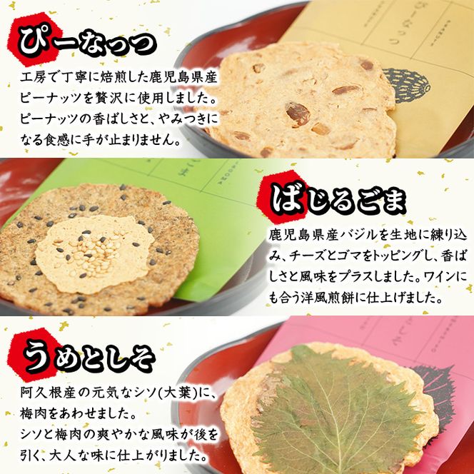 本格さつま揚げ煎餅！薩摩海山煎餅 ボリュームセット(6種・合計48枚) 国産 お菓子 おやつ 詰め合わせ さつまあげ せんべい 和菓子【まるじゅ本舗】akn002-21