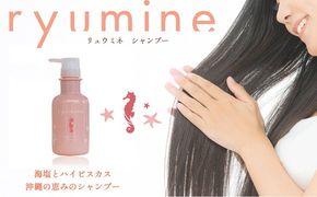塩とハイビスカス「リュウミネシャンプー」×1本