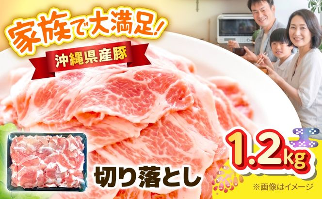 沖縄県産豚切り落とし 1.2kg 豚肉 ポーク 冷凍 小分け 国産 沖縄県産 しゃぶしゃぶ きりおとし 1200g 沖縄市 / 丸市ミート[BCEQ006]