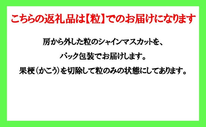 手軽に楽しむ《徳用・粒ぶどう》 【シャインマスカット】 1.0kg（パック包装） 【2026年発送分 先行予約】- FUJIKAWA GRAPES -