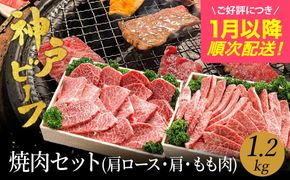 焼肉セット 神戸牛 牛肉 焼肉用 1.2kg【肩ロース 600g+肩・モモ 600g】(TYYS5) 焼き肉 セット 食べ比べ 牛 肉 霜降り 但馬牛 黒毛和牛 和牛 国産牛 焼肉 やきにく アウトドア キャンプ BBQ 太田牧場 太田牛 神戸ビーフ【但馬牛太田家】【好評につき1月以降順次発送】