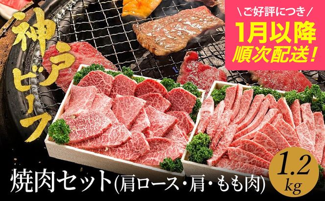 yɌLszēZbg _ˋ  ēp 1.2kgy[X 600g+E 600gz(TYYS5) Ă Zbg Hה   ~ An јa a Y ē ₫ɂ AEghA Lv BBQ cq c _˃r[tyAncƁzyD]ɂ1ȍ~