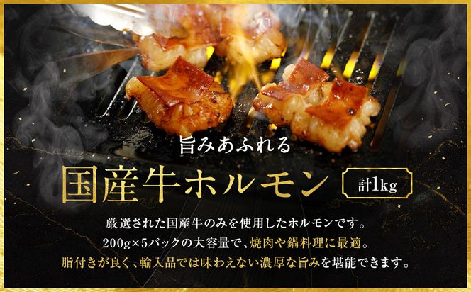 【エスイー】厳選国産牛ホルモン200g×5パック 計1kg[ 京都 食肉卸 自慢の肉質 ホルモン もつ 大容量 小分け 人気 おすすめ 肉 お肉 牛肉 もつ鍋 焼肉 お取り寄せ 通販 送料無料 ギフト ふるさと納税 ] 261009_A-WX002