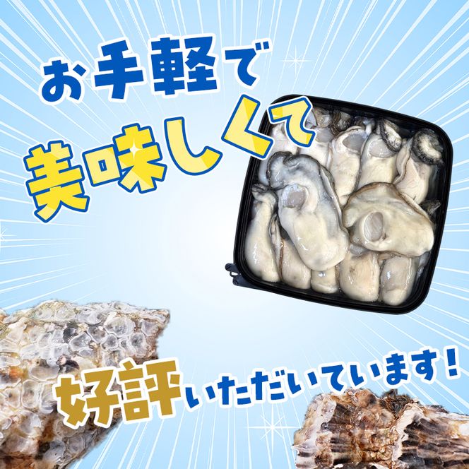 カキ むき身　厚岸産 生食 むき身牡蠣 「選ばれし12粒」 無水パック仕立て　牡蠣 かき マルユウ海楽