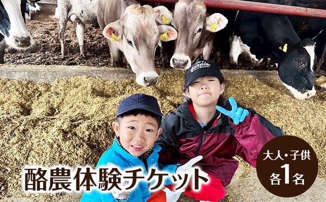 酪農体験チケット 大人・子供 各1名 【 体験チケット 酪農 北海道 幕別町 牛 搾乳 牧場 自然 】