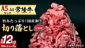 【定期便】 全12回 【 常陸牛 】 切り落とし 1kg (茨城県共通返礼品) 国産 切落し 焼肉 焼き肉 お肉 A4ランク A5ランク ブランド牛 小分け [BX89-NT]