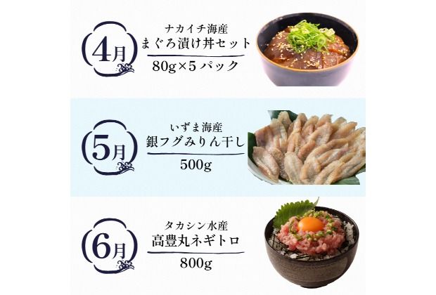 【定期便 12回】室戸まるごと定期便 海鮮コース 海鮮 魚介 かつお 本マグロ ネギトロ 伊勢海老 鰹 かつおのたたき マグロ 鮪 イセエビ 魚介類 海の幸 海鮮定期便 高知県 室戸市