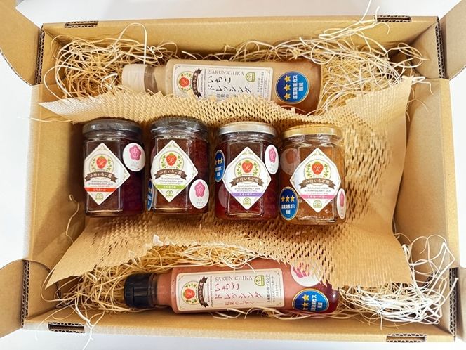 【SAKUNICHIKA】さくらブランド6種ギフトセット｜とちあいか とちおとめ スカイベリー ミルキーベリー 栃木県 さくら市 イチゴ 苺