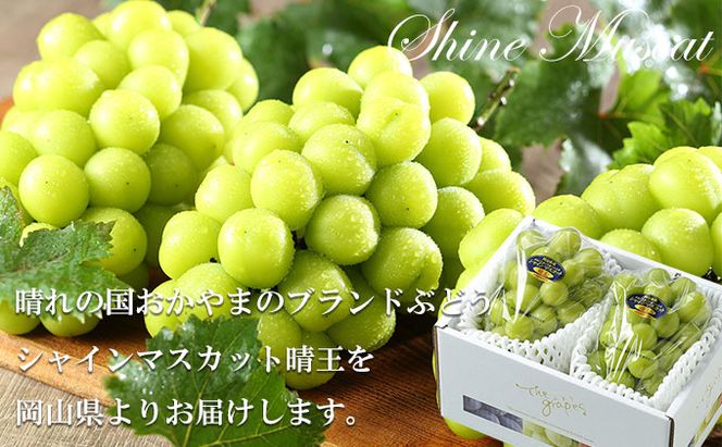 ぶどう 2026年 先行予約 シャイン マスカット 晴王 約400g×2房 8月下旬～11月下旬発送 ブドウ 葡萄  岡山県産 国産 フルーツ 果物 ギフト 岡山の葡萄 デザート 食後 
